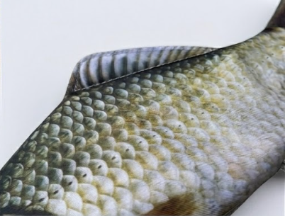 Fishcase – wodoodporny piórnik w kształcie ryby