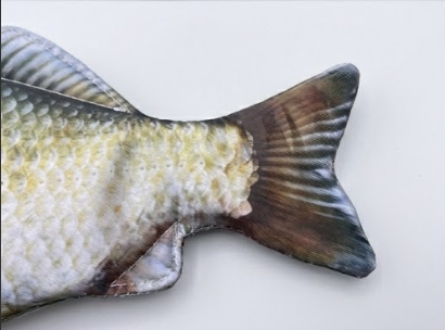 Fishcase – wodoodporny piórnik w kształcie ryby